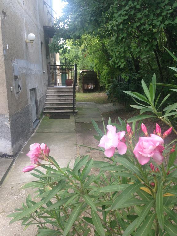 Hotel Rose Valley 부다페스트 외부 사진